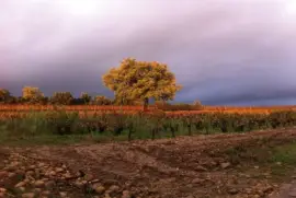 Lirac, Gard, France jigsaw puzzle