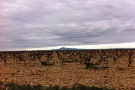 Lirac, Gard, France jigsaw puzzle