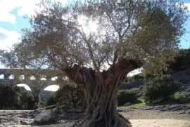 Le Pont du Gard, France jigsaw puzzle