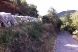 Mandagout, Gard, France jigsaw puzzle