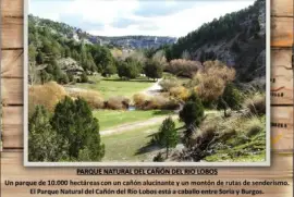 PARQUE NATURAL DEL CAÃ‘Ã“N DEL RIO LOBOS jigsaw puzzle