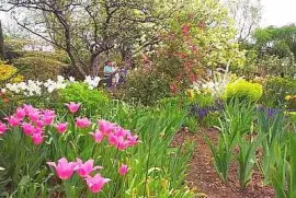 Attenborough Garden jigsaw puzzle