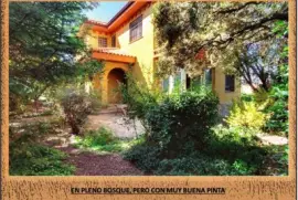 EN PLENO BOSQUE, PERO CON MUY BUENA PINTA jigsaw puzzle