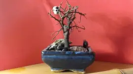 bonsai jigsaw puzzle