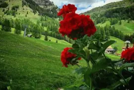 imagem jigsaw puzzle