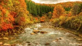 paisaje-verano-indio jigsaw puzzle