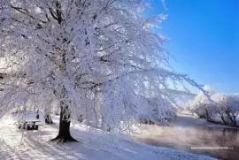 Paisaje nevado jigsaw puzzle