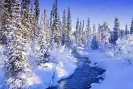 Paisaje invierno jigsaw puzzle