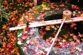 OtoÃ±o-JapÃ³n jigsaw puzzle