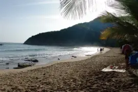 ChoronÃ­. Aragua, Venezuela jigsaw puzzle