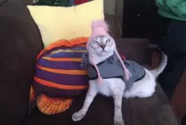 Lily posing for Ms. Jill