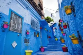 æ‘©æ´›å“¥