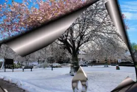 Rolling back Winter to find Spring