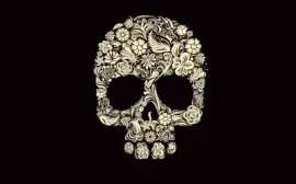 Skull 3