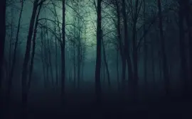 Dark bosque 2
