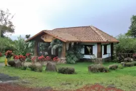 Cafetal en Costa Rica.