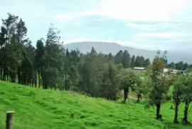 CampiÃ±a de Costa Rica.