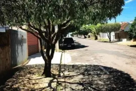 Ãrbol y su sombra