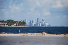Miami 2 jigsaw puzzle