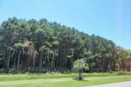 CampiÃ±a de Uruguay.