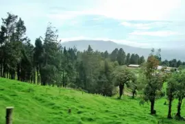 CampiÃ±a costarricense.