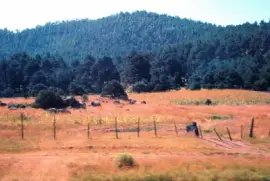 Sierra Tarahumara, Chihuahua.