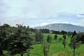 CampiÃ±a en Costa Rica.