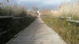 varios jigsaw puzzle