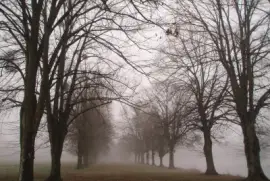 brume Ã  la FertÃ©-Vidame