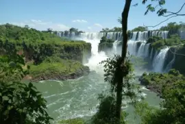 Argentine Iguazu