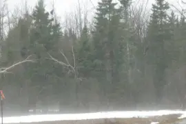 Warm spring day brings melting mist