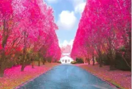 imagem jigsaw puzzle