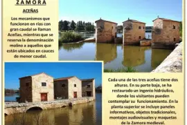 Z A M O R A - ACEÃ‘AS