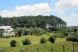 CampiÃ±a uruguaya.