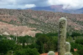 Quebrada de Humahuaca Argentine