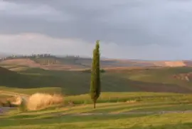 Toscane terre de Sienne Italie