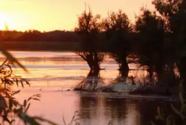 delta du Danube Roumanie