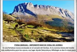 ITXINA (BIZKAIA) â€“ IMPONENTE MAR DE CORAL DEL GORBEA