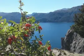 lago traful argentina