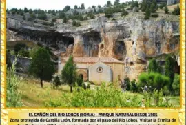 EL CAÃ‘Ã“N DEL RIO LOBOS (SORIA) - PARQUE NATURAL DE