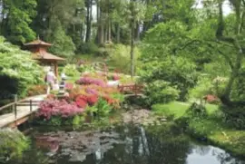 garden with lake