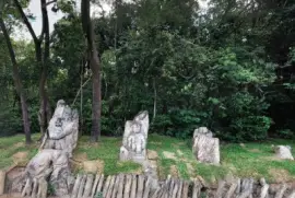 Lagoa do Nado Flakes