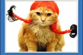 Â¡Â¡ME  PARECIÃ“  VER  UN  LINDO  GATITO!!