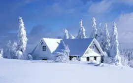 snow jigsaw puzzle