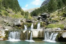 Rio Aras jigsaw puzzle