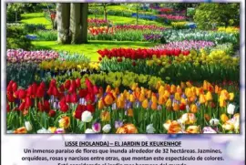 LISSE (HOLANDA) â€“ EL JARDIN DE KEUKENHOF