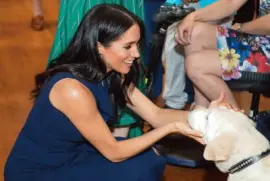 פאזל של Meghan