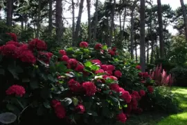 parc floral Vincennes