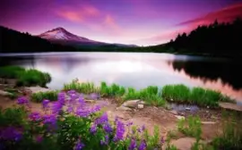 paisaje con flores jigsaw puzzle