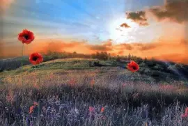 flores jigsaw puzzle